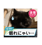 ジジキキちゃんスタンプ〜（個別スタンプ：19）