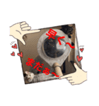 ジジキキちゃんスタンプ〜（個別スタンプ：20）