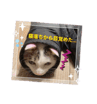 ジジキキちゃんスタンプ〜（個別スタンプ：21）