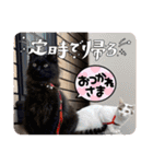ジジキキちゃんスタンプ〜（個別スタンプ：23）