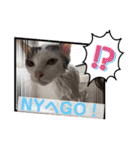 ジジキキちゃんスタンプ〜（個別スタンプ：32）