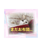 ジジキキちゃんスタンプ〜（個別スタンプ：38）