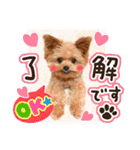 ポメプーコロンのハッピーな毎日（個別スタンプ：19）