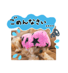 ポメプーコロンのハッピーな毎日（個別スタンプ：21）