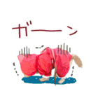 ポメプーコロンのハッピーな毎日（個別スタンプ：31）