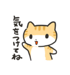 やさしいねこのミューちゃん（個別スタンプ：18）