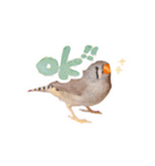 コメちゃん今日もかわいいね（個別スタンプ：1）