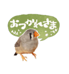 コメちゃん今日もかわいいね（個別スタンプ：4）