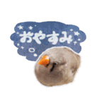 コメちゃん今日もかわいいね（個別スタンプ：6）