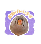 コメちゃん今日もかわいいね（個別スタンプ：9）
