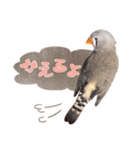 コメちゃん今日もかわいいね（個別スタンプ：16）