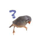 コメちゃん今日もかわいいね（個別スタンプ：18）