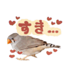 コメちゃん今日もかわいいね（個別スタンプ：20）