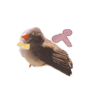 コメちゃん今日もかわいいね（個別スタンプ：23）