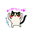 ねこさんと日常会話（個別スタンプ：1）