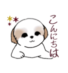 Stickers_Shih Tzu_i シーズースタンプ秋（個別スタンプ：6）