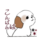 Stickers_Shih Tzu_i シーズースタンプ秋（個別スタンプ：12）
