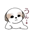 Stickers_Shih Tzu_i シーズースタンプ秋（個別スタンプ：24）