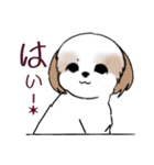 Stickers_Shih Tzu_i シーズースタンプ秋（個別スタンプ：25）