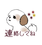Stickers_Shih Tzu_i シーズースタンプ秋（個別スタンプ：30）