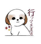 Stickers_Shih Tzu_i シーズースタンプ秋（個別スタンプ：35）
