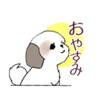 Stickers_Shih Tzu_i シーズースタンプ秋（個別スタンプ：37）