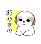 Stickers_Shih Tzu_i シーズースタンプ秋（個別スタンプ：38）