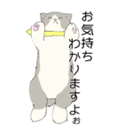 大きい顔の猫たち（個別スタンプ：2）