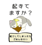 大きい顔の猫たち（個別スタンプ：23）