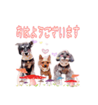 冬獅郎家の日常会話（個別スタンプ：2）
