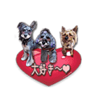 冬獅郎家の日常会話（個別スタンプ：16）
