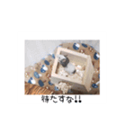 愛しのこあたん♡（個別スタンプ：2）