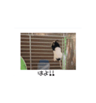 愛しのこあたん♡（個別スタンプ：4）