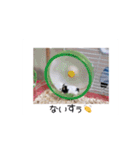 愛しのこあたん♡（個別スタンプ：7）