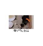愛しのこあたん♡（個別スタンプ：10）