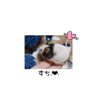 愛しのこあたん♡（個別スタンプ：16）