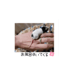 愛しのこあたん♡（個別スタンプ：19）