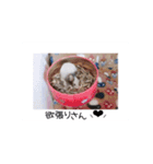 愛しのこあたん♡（個別スタンプ：22）