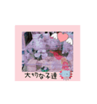 愛しのこあたん♡（個別スタンプ：24）