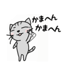 関西弁★ サバトラ猫 (大阪弁)（個別スタンプ：3）