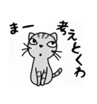 関西弁★ サバトラ猫 (大阪弁)（個別スタンプ：7）