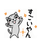 関西弁★ サバトラ猫 (大阪弁)（個別スタンプ：17）