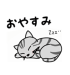 関西弁★ サバトラ猫 (大阪弁)（個別スタンプ：22）
