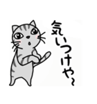 関西弁★ サバトラ猫 (大阪弁)（個別スタンプ：27）