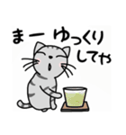 関西弁★ サバトラ猫 (大阪弁)（個別スタンプ：28）