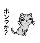 関西弁★ サバトラ猫 (大阪弁)（個別スタンプ：29）