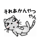 関西弁★ サバトラ猫 (大阪弁)（個別スタンプ：31）