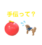 生意気トイプードル はいむのスタンプ（個別スタンプ：18）