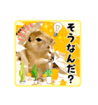 リチャードソンジリスのもっちゃん②（個別スタンプ：4）