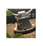 ぽん太んちのヤモサン（個別スタンプ：8）
